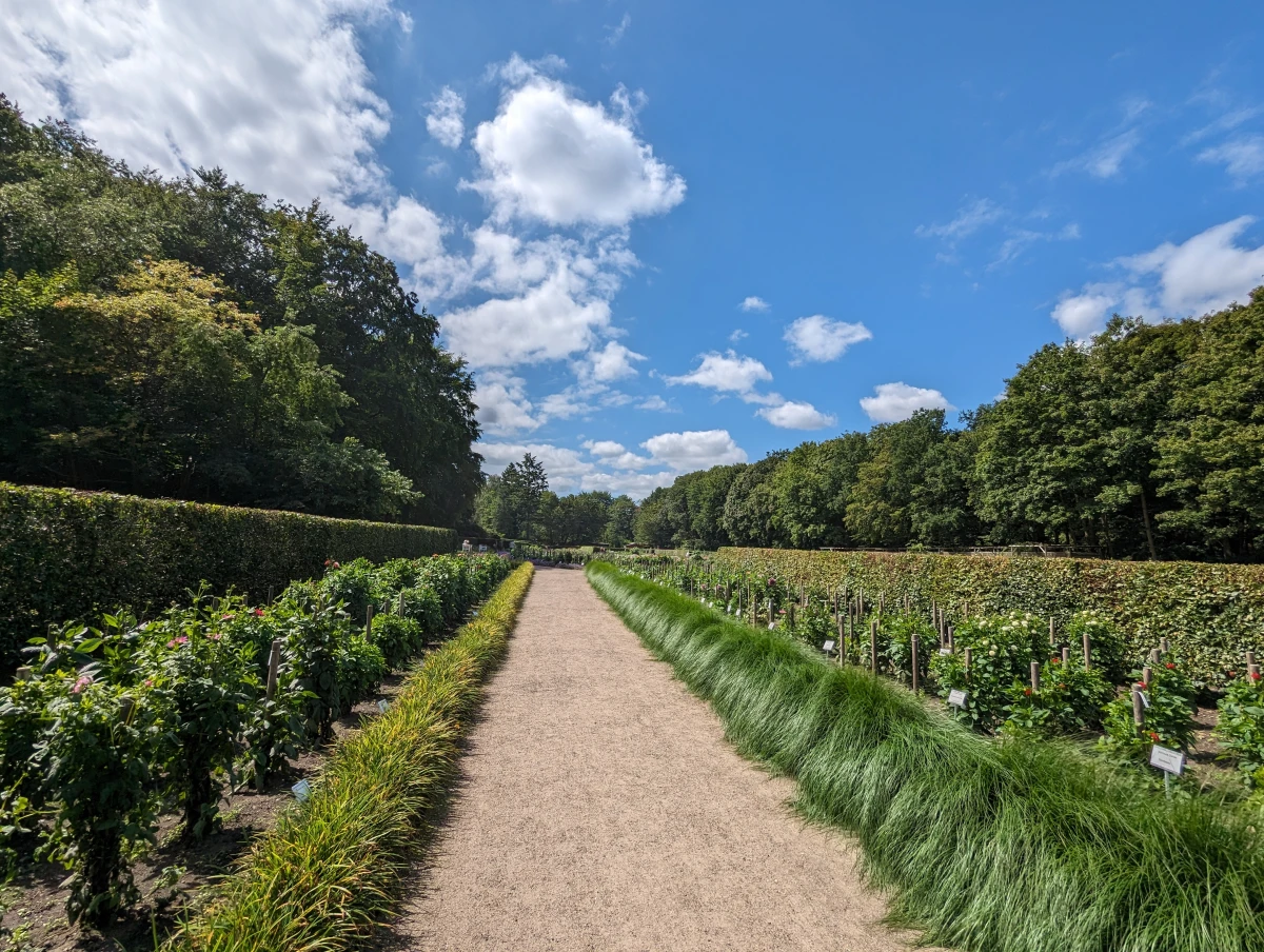 Der Dahliengarten